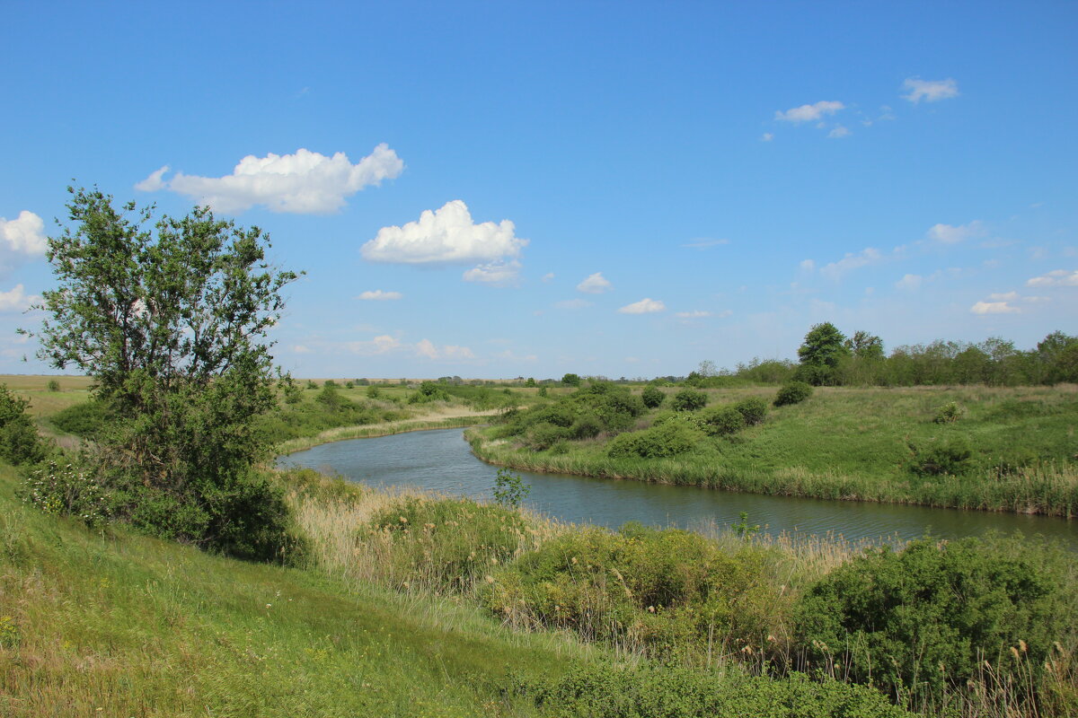 Местная река. - Виктор Местная река. - Виктор