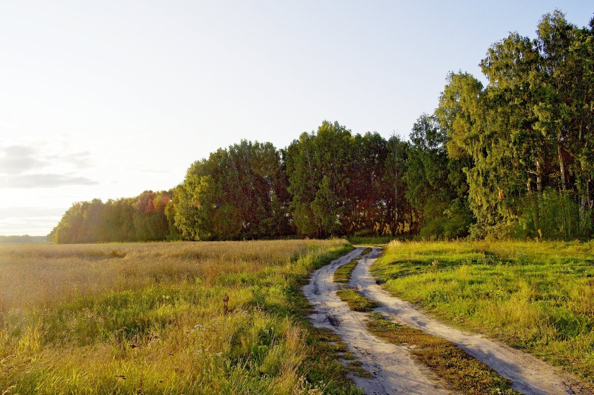 Дорога у озера - Сергей Швечков Дорога у озера - Сергей Швечков