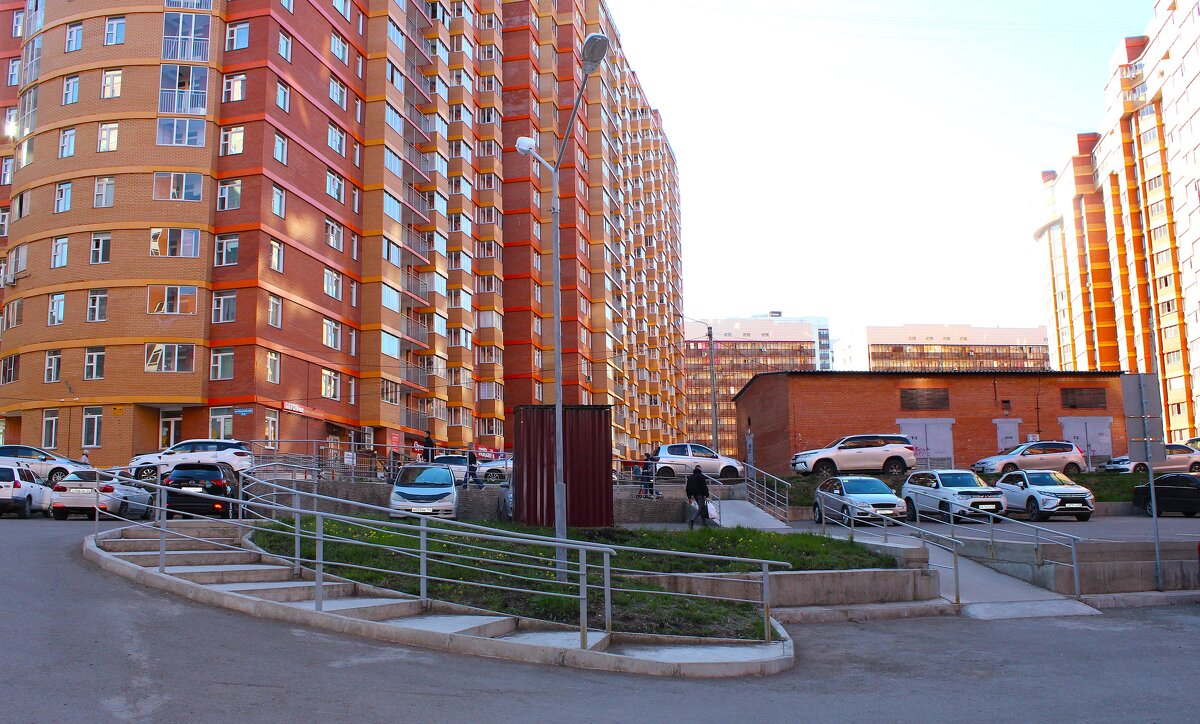 Каменные джунгли - Василий 