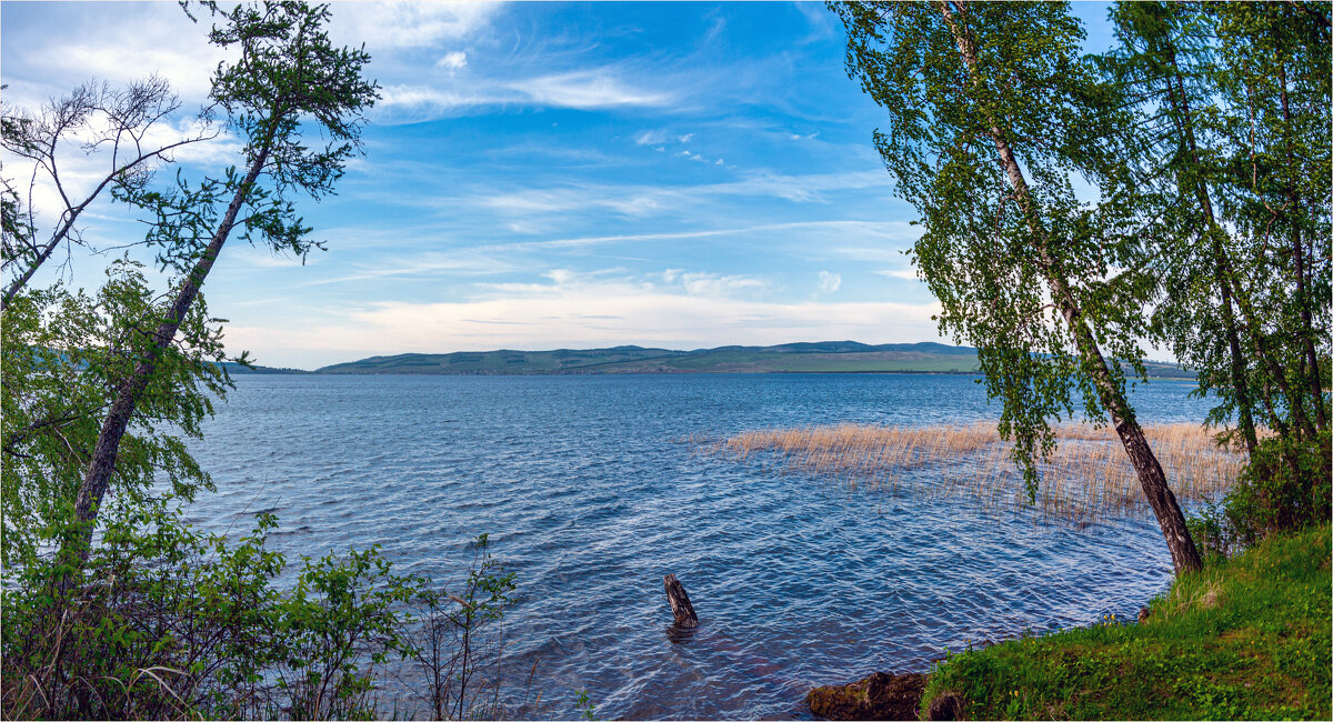 У озера, июнь... - Алексей Мезенцев У озера, июнь... - Алексей Мезенцев