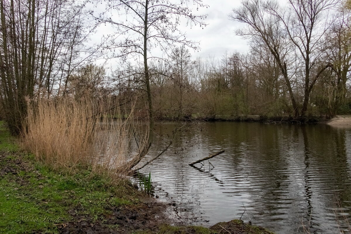 Неприветливый март... - Николай Гирш Неприветливый март... - Николай Гирш