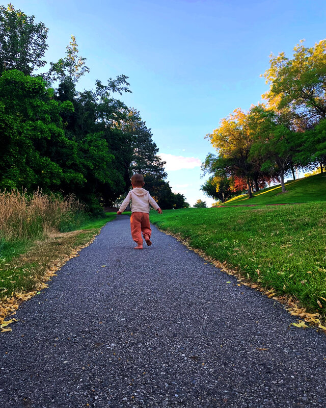 ТОП , ТОП ... - Анатолий Малобродский