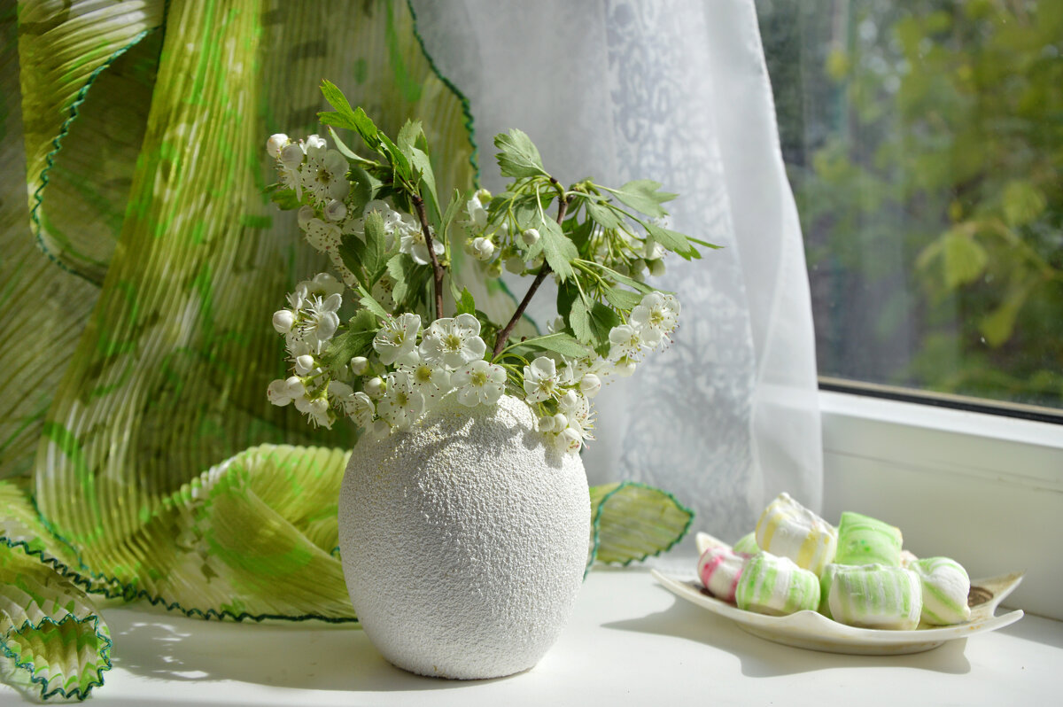 Боярышник - Надежда Куркина 