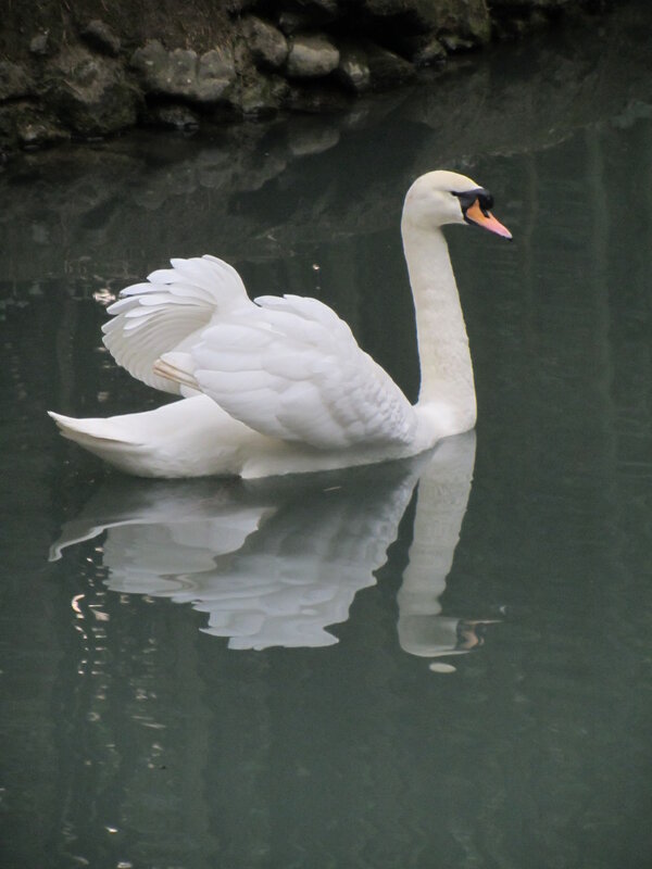 В парке Дендрарий - Валерий В парке Дендрарий - Валерий