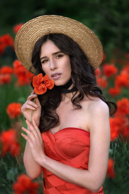 *** - Viktoria Anufrieva