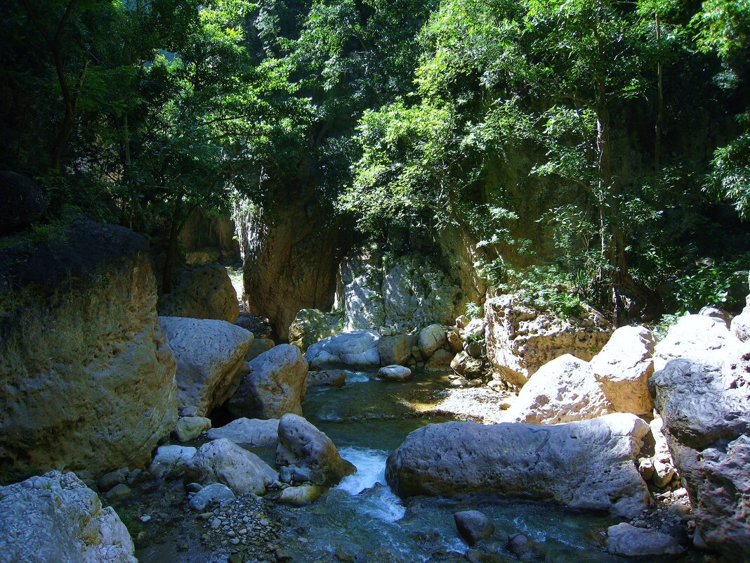 Кейн Ривер каньон на острове Ямайка. - unix (Илья Утропов)