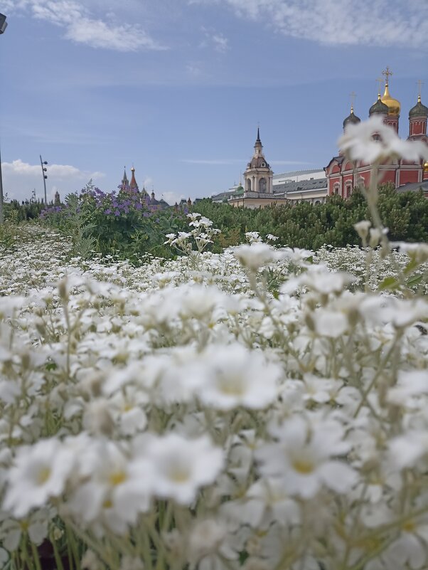 Прогулка в Зарядье - Pippa 