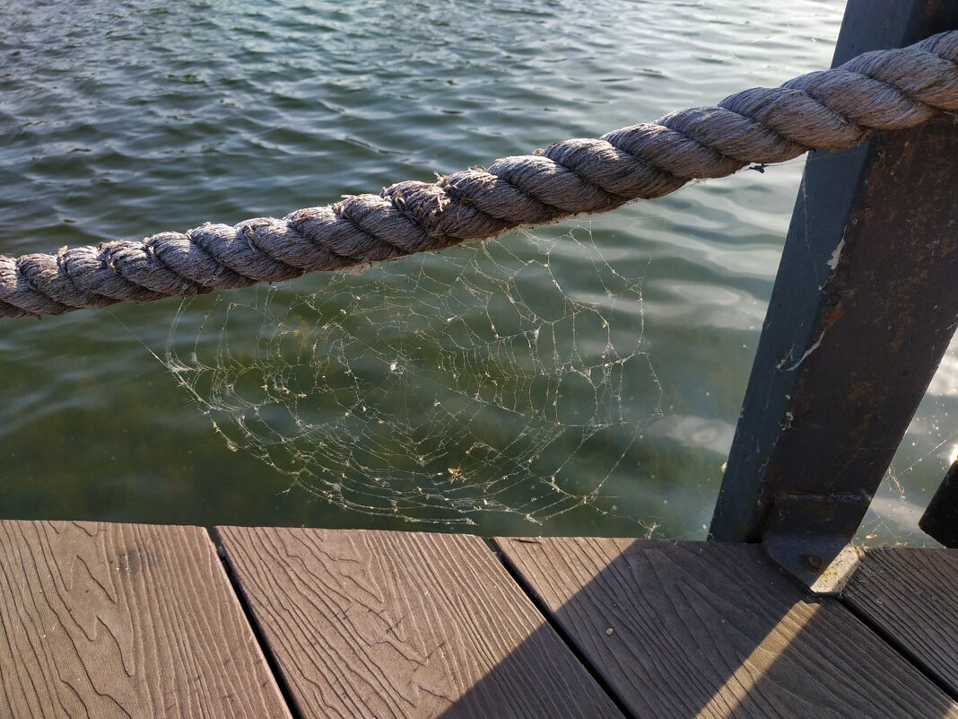 * * * - Андрей Лукьянов * * * - Андрей Лукьянов