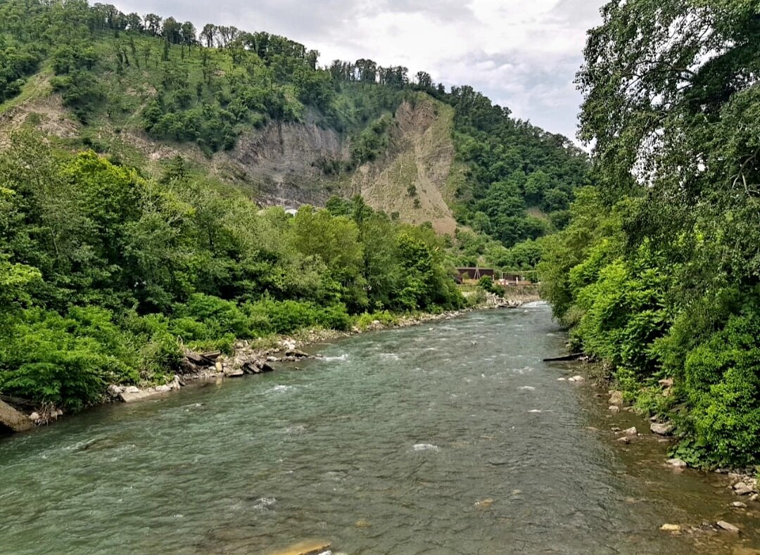 ПЛАСТУНКА-СОЧИ - Tata Wolf