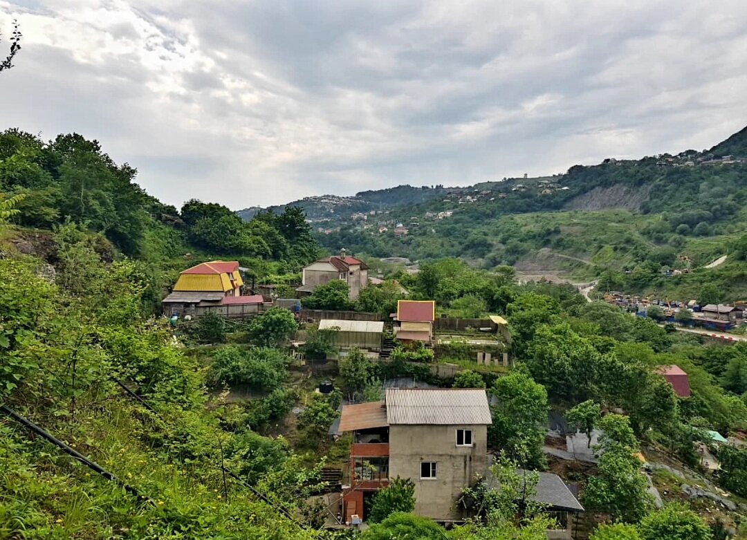 ПЛАСТУНКА-СОЧИ - Tata Wolf