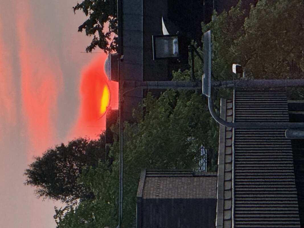 Прячется в доме) - Анна Камс