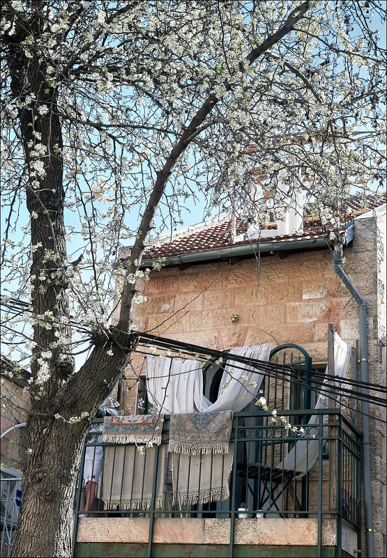 Весна в старом Иерусалиме. - Валерий Готлиб