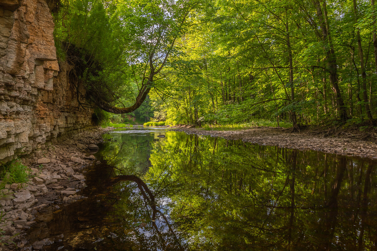 **** - Елизавета . **** - Елизавета .