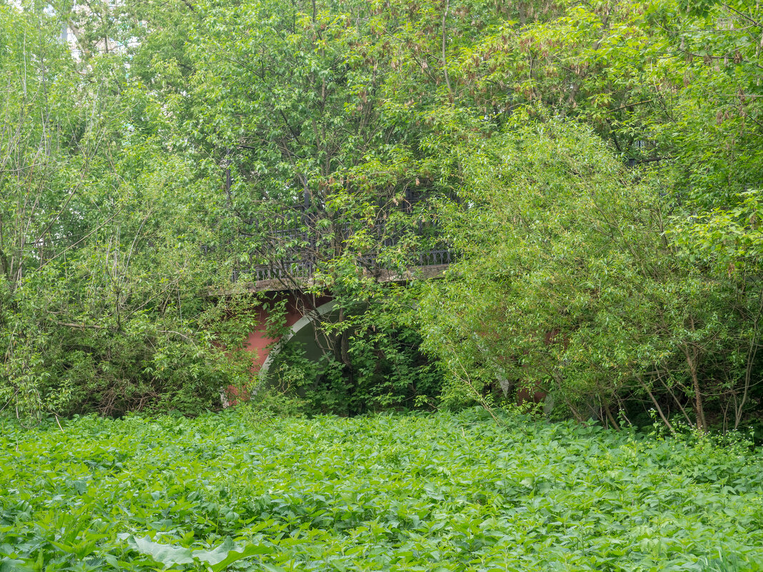 ___ - Yuriy V ___ - Yuriy V