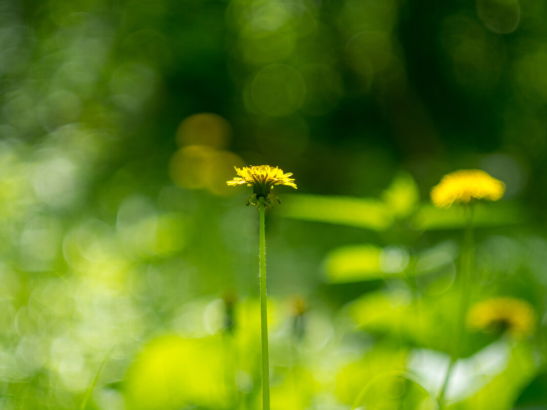 ___ - Yuriy V ___ - Yuriy V