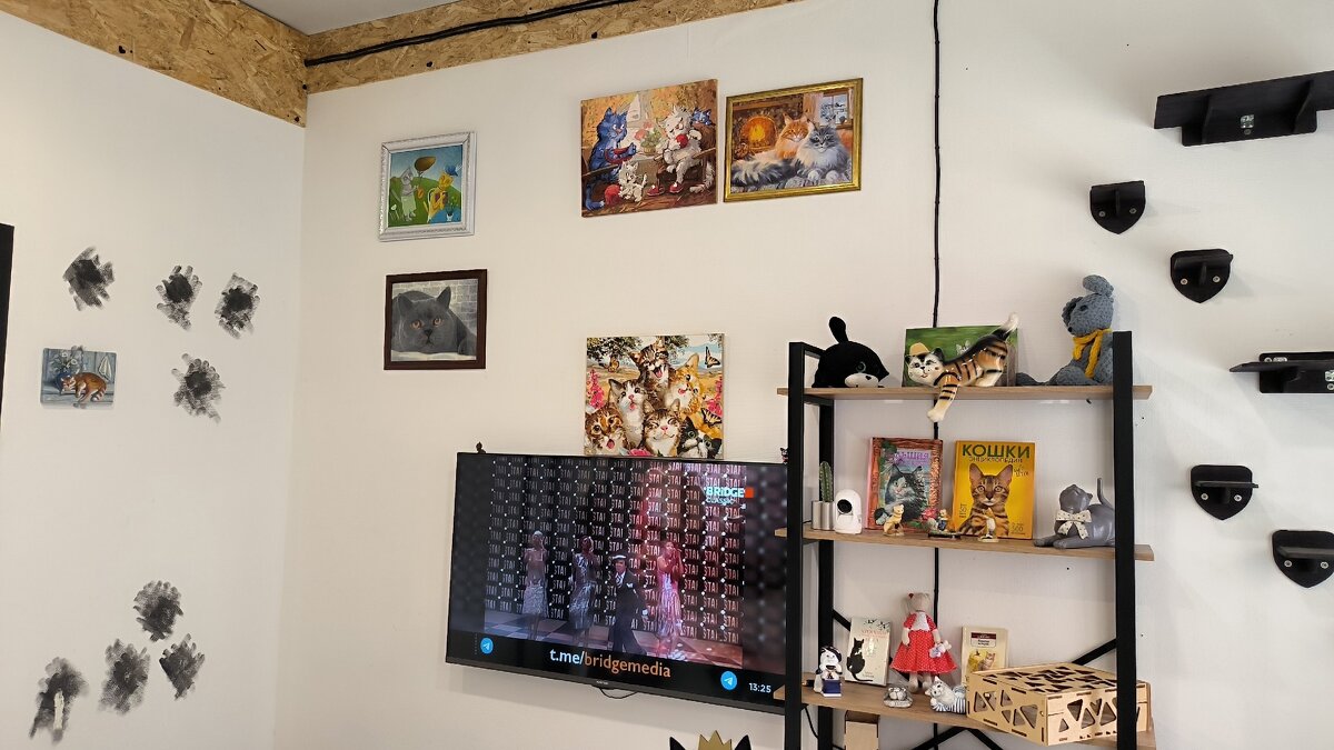 В котокафе. - Ольга 