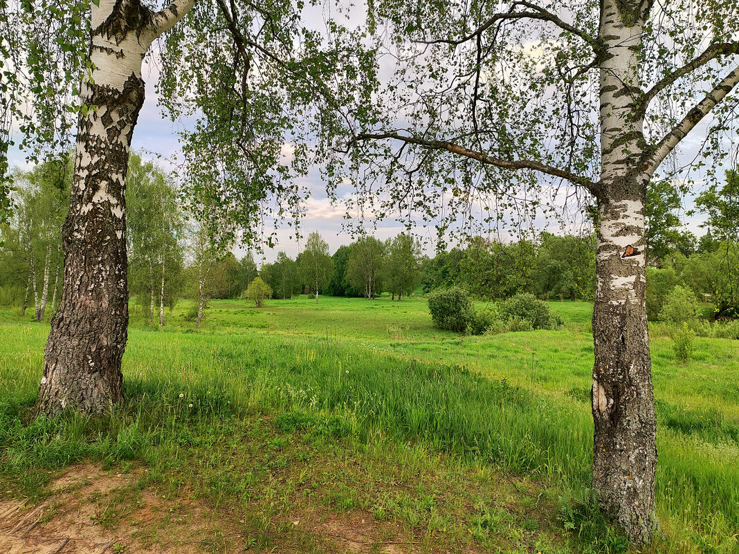 *** - Денис Бочкарёв *** - Денис Бочкарёв