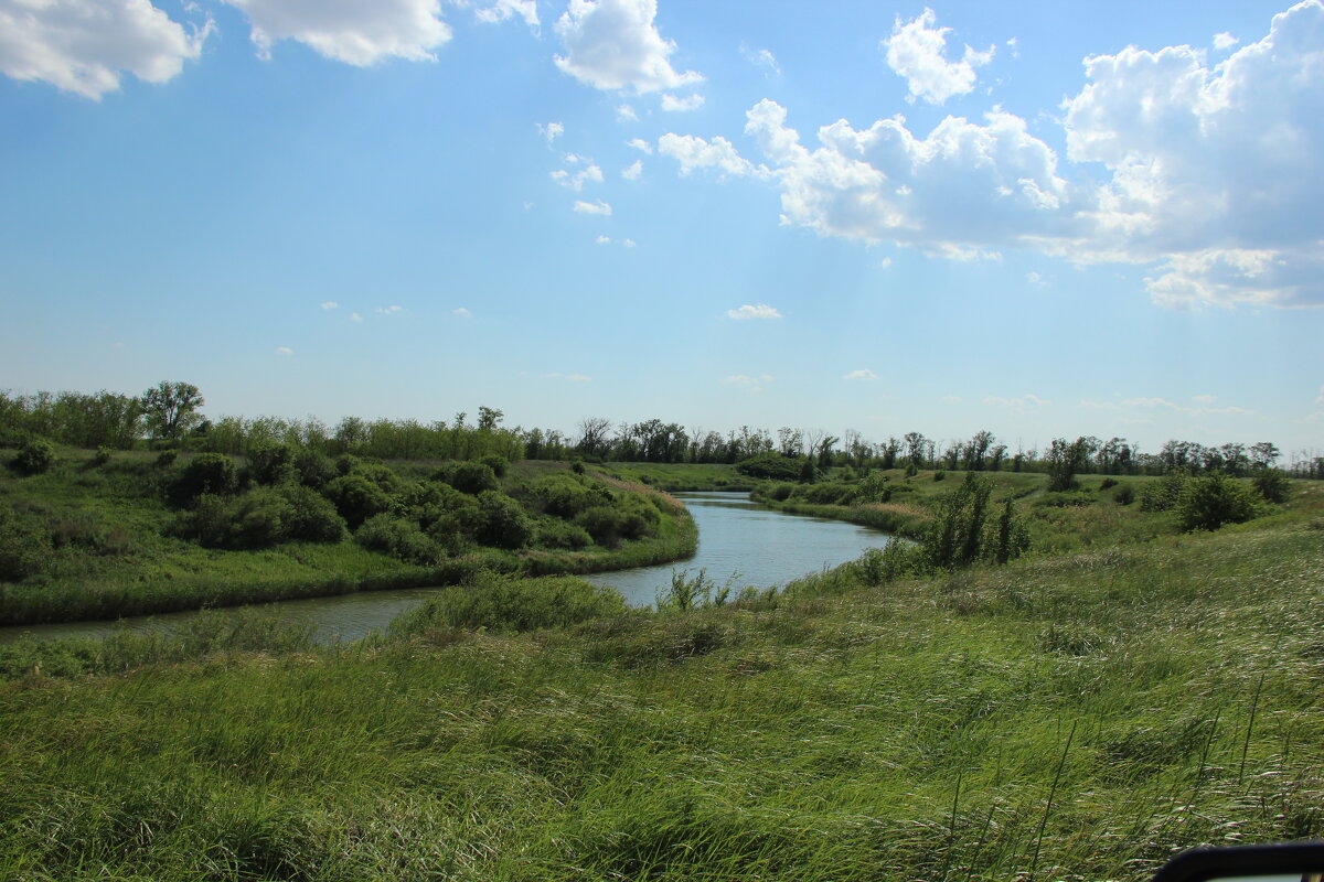 Местная река. - Виктор 