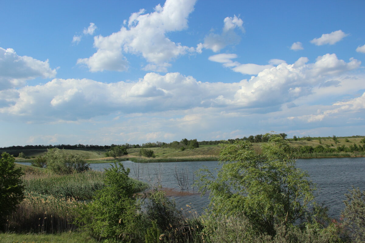 Местные виды. - Виктор 