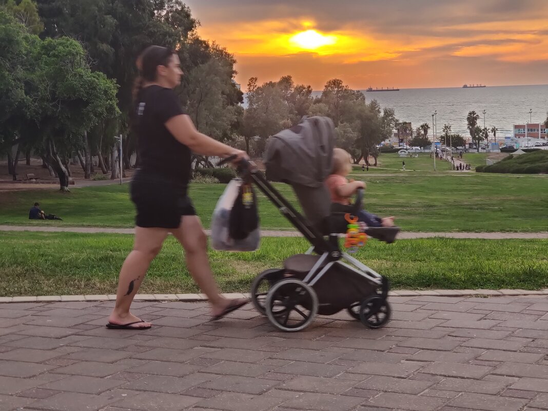 Наш парк вечером. - Светлана Хращевская Наш парк вечером. - Светлана Хращевская