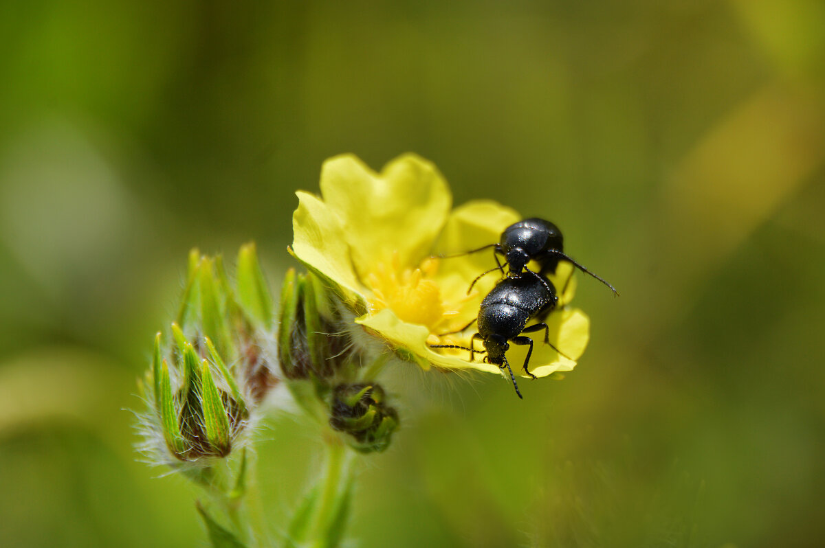 ...жизнь продолжается.... - Надежда Куркина ...жизнь продолжается.... - Надежда Куркина