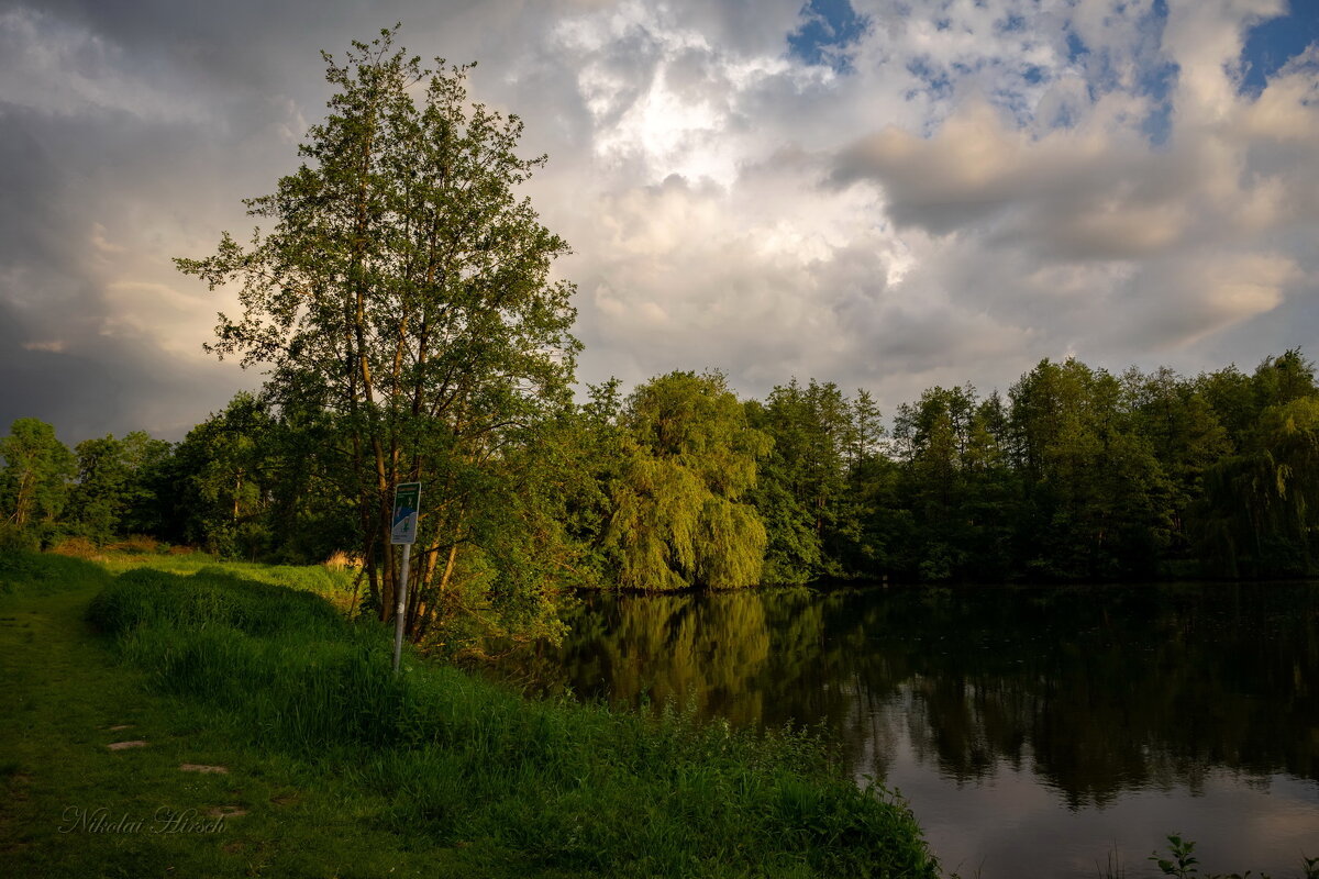 Майским вечером... - Николай Гирш Майским вечером... - Николай Гирш