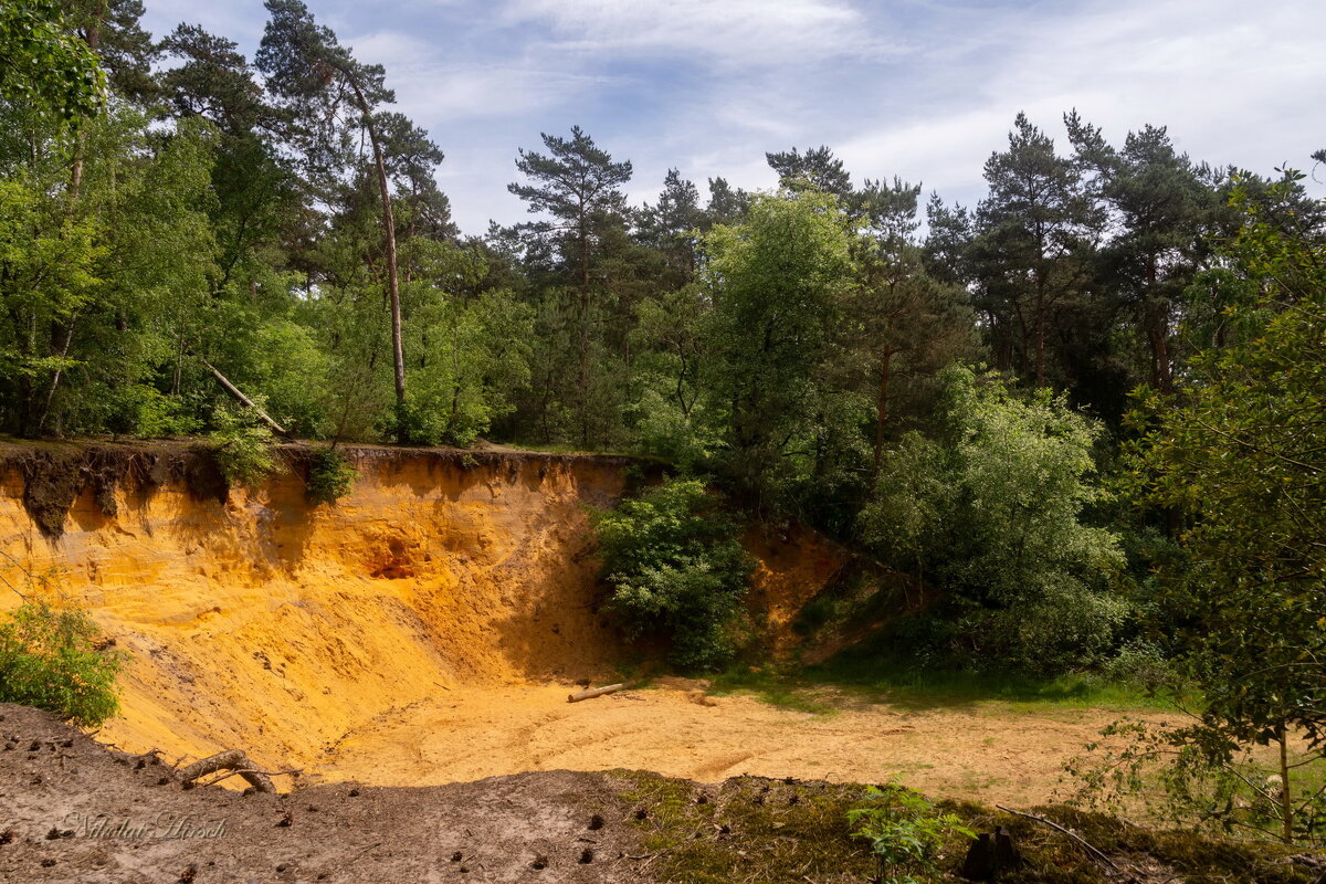 *** - Николай Гирш