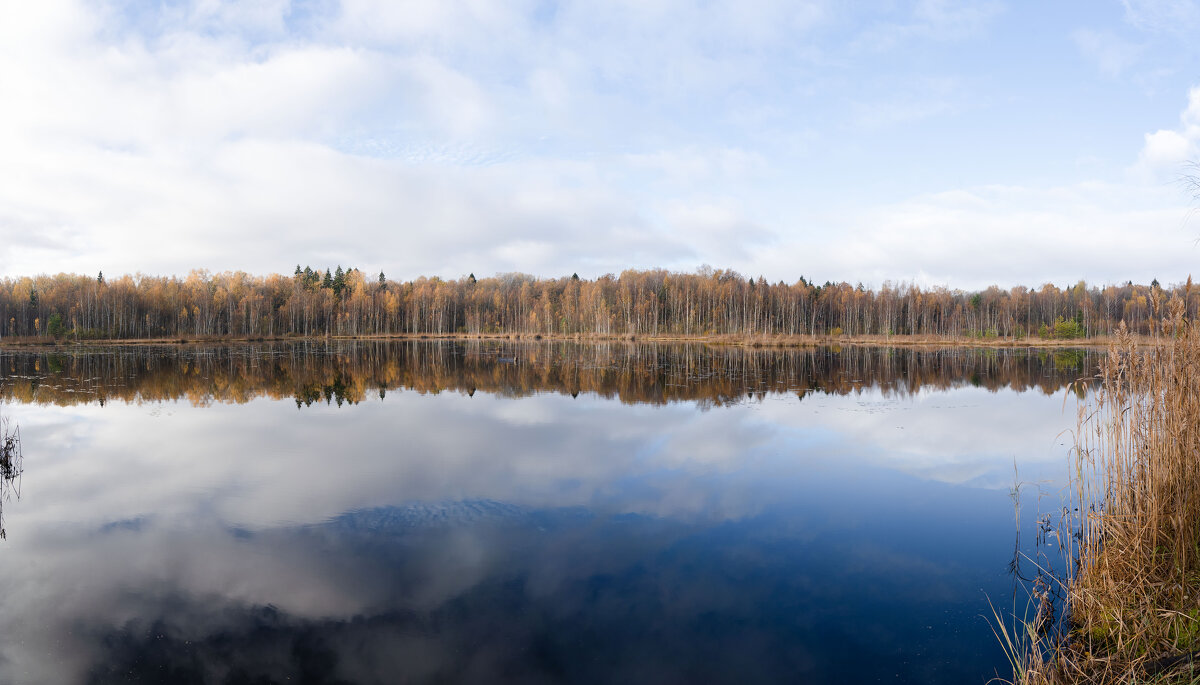 Щепкино болото. Панорама. - Андрей Уткин