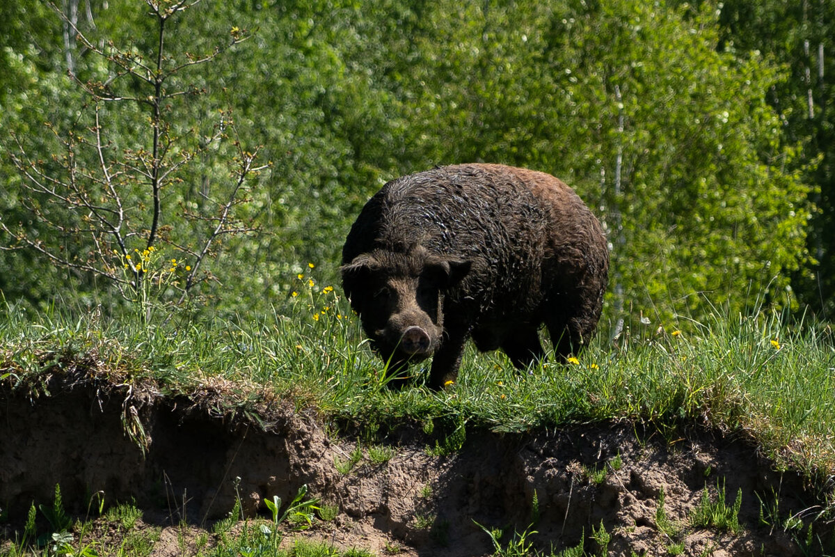Привет! - Андрей Уткин Привет! - Андрей Уткин