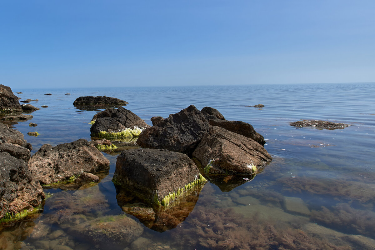 возможно здесь водятся русалки - Эдуард Тищенко возможно здесь водятся русалки - Эдуард Тищенко