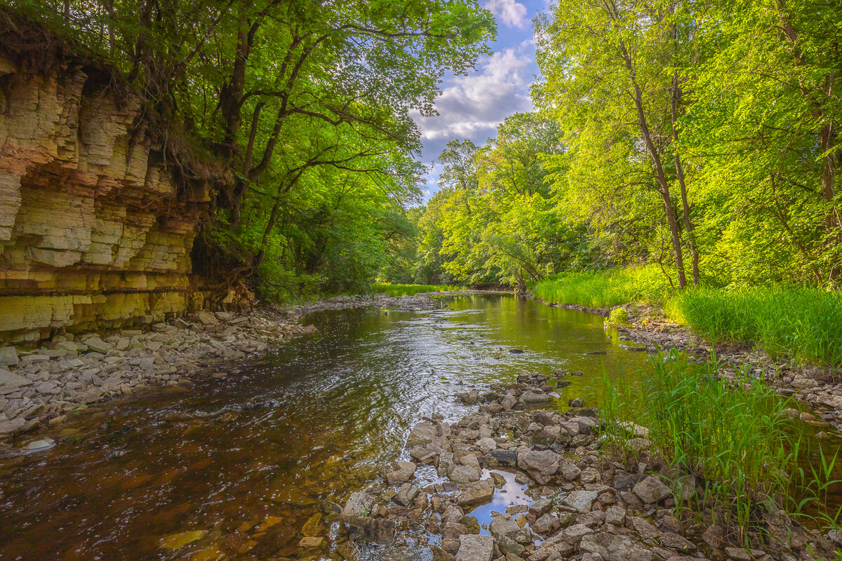 **** - Елизавета .