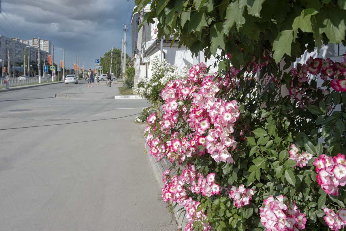 Перед грозой - Валерий Басыров Перед грозой - Валерий Басыров