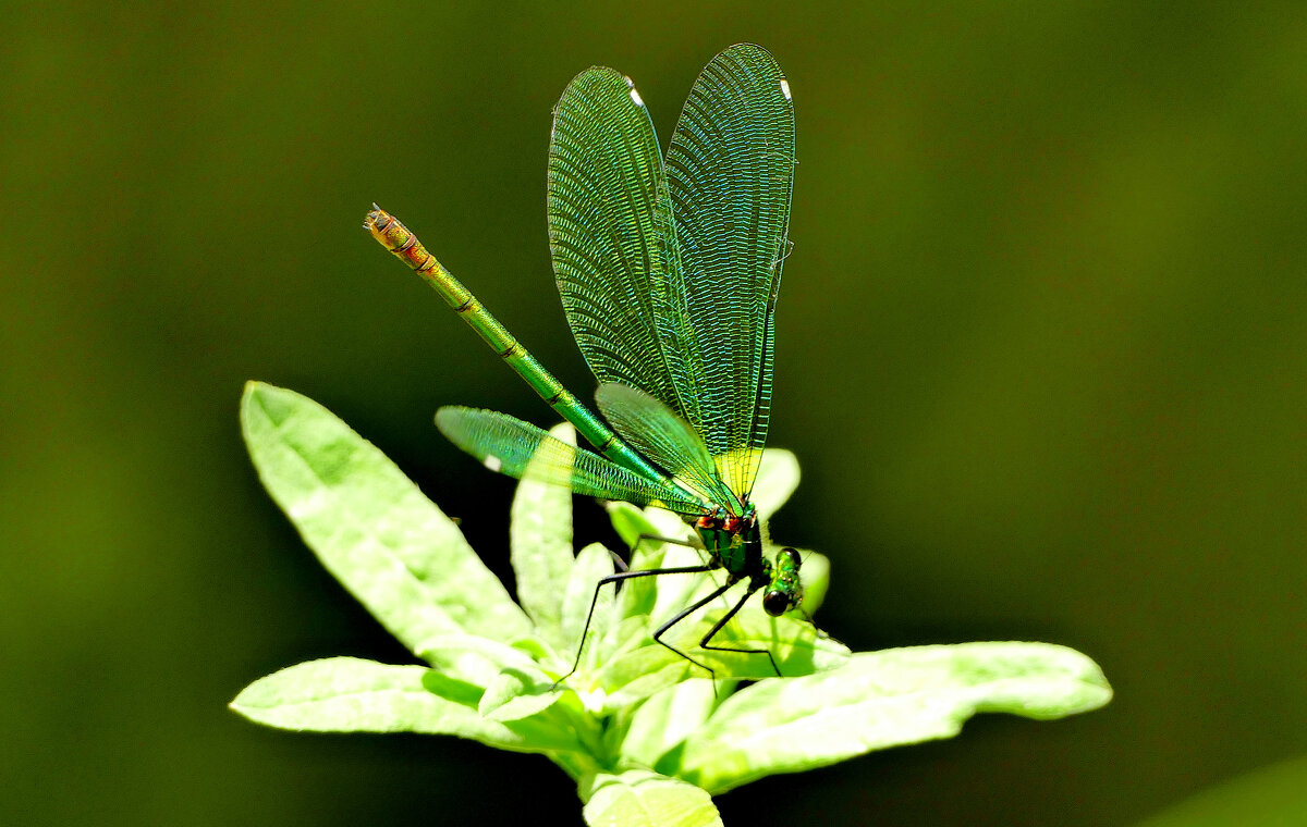 из вчерашней съёмки 1 - Александр Прокудин из вчерашней съёмки 1 - Александр Прокудин