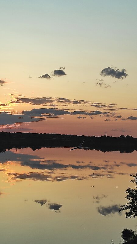 Лето - Андрей 