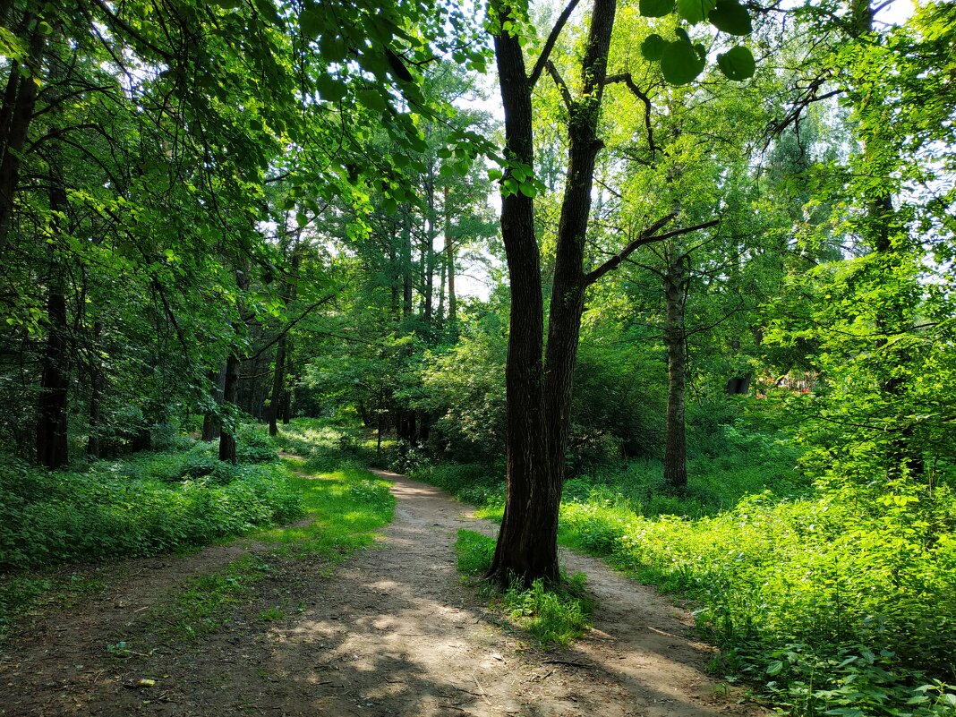 Мой путь светел - Андрей Лукьянов Мой путь светел - Андрей Лукьянов