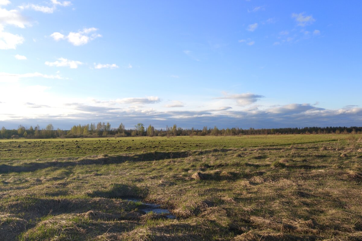 вид на аэродром Гривочки - Артем 