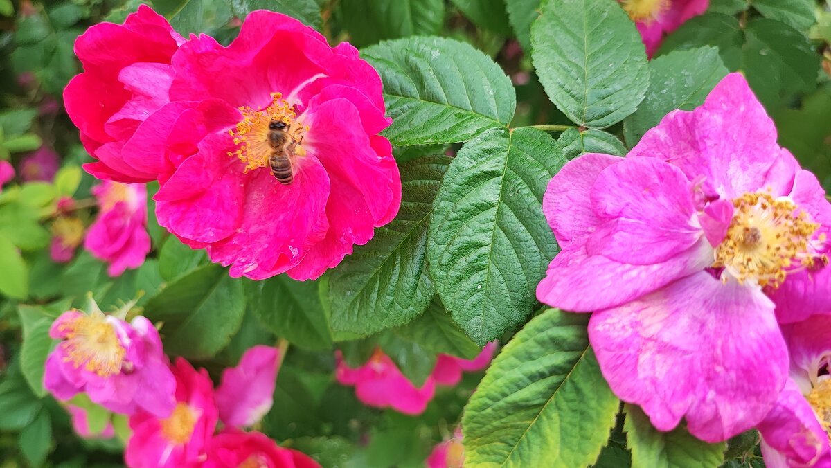 ,,, - Сергей Тимоновский