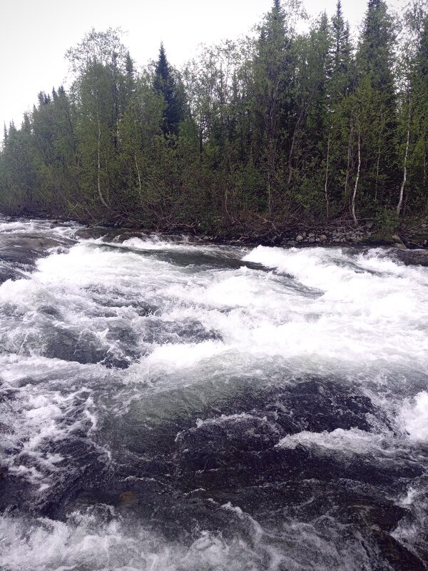 Алтай - Георгиевич Алтай - Георгиевич