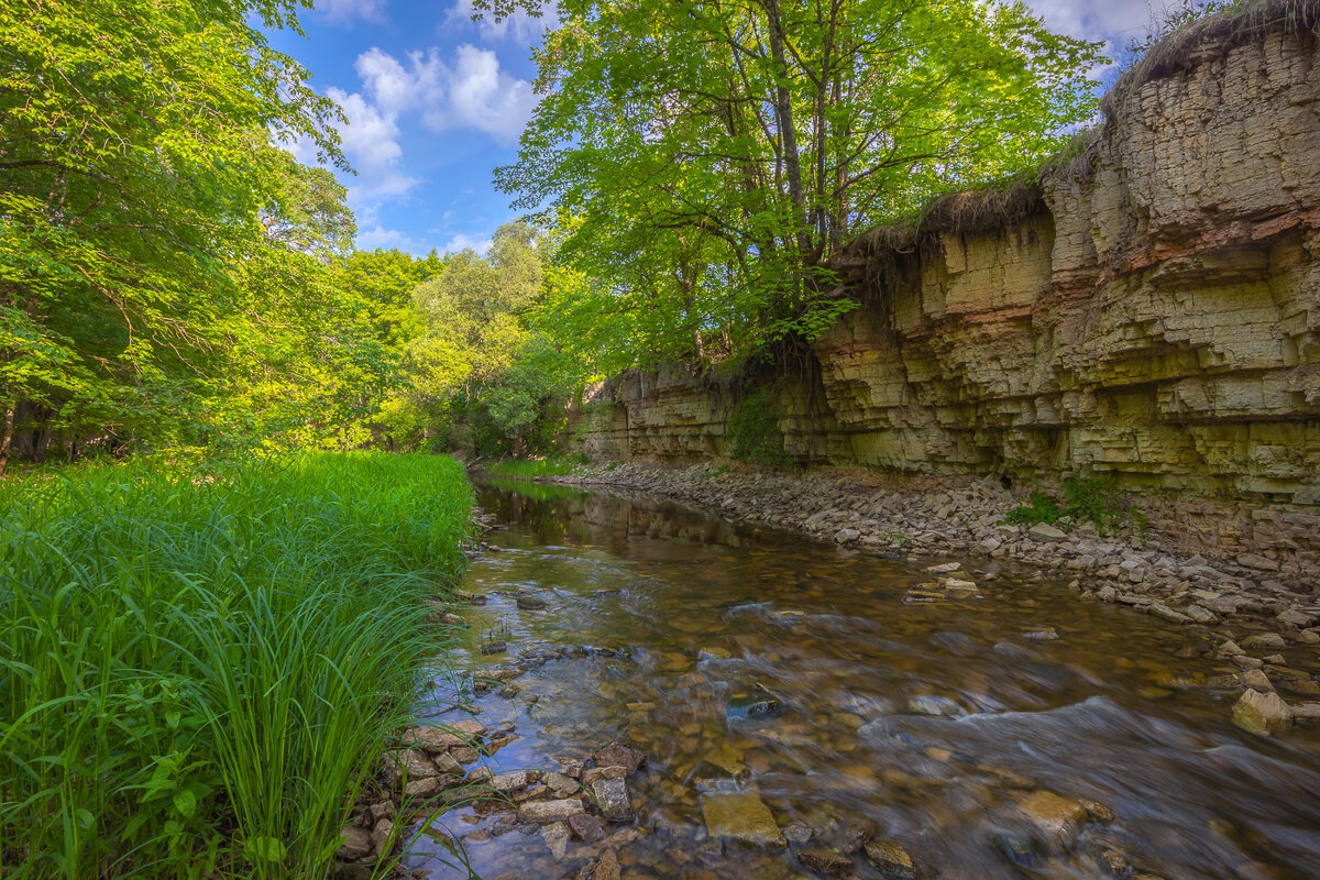 **** - Елизавета .