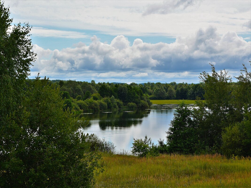 Ядрин. Озеро Сергач (восточная часть). - Пётр Чернега