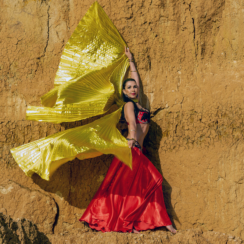 Крылья... - Ron Nessi Крылья... - Ron Nessi