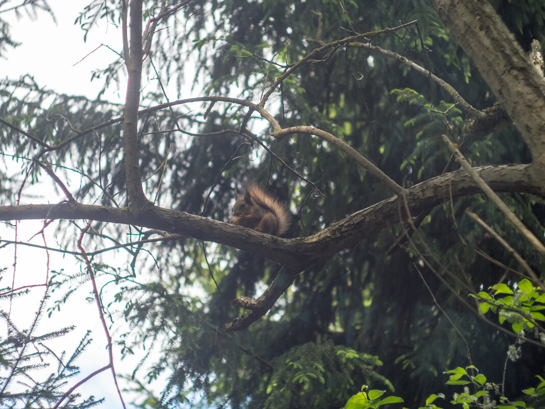 ___ - Yuriy V ___ - Yuriy V