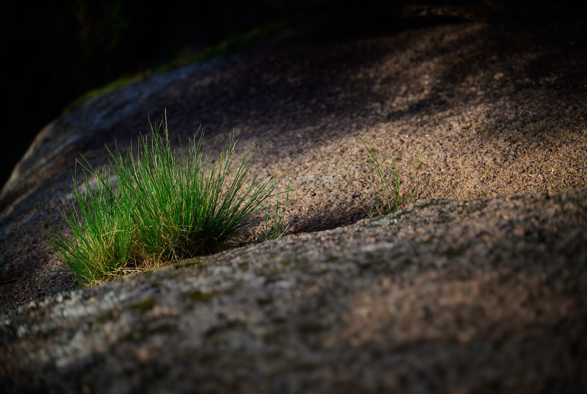 * - Александр Иванов