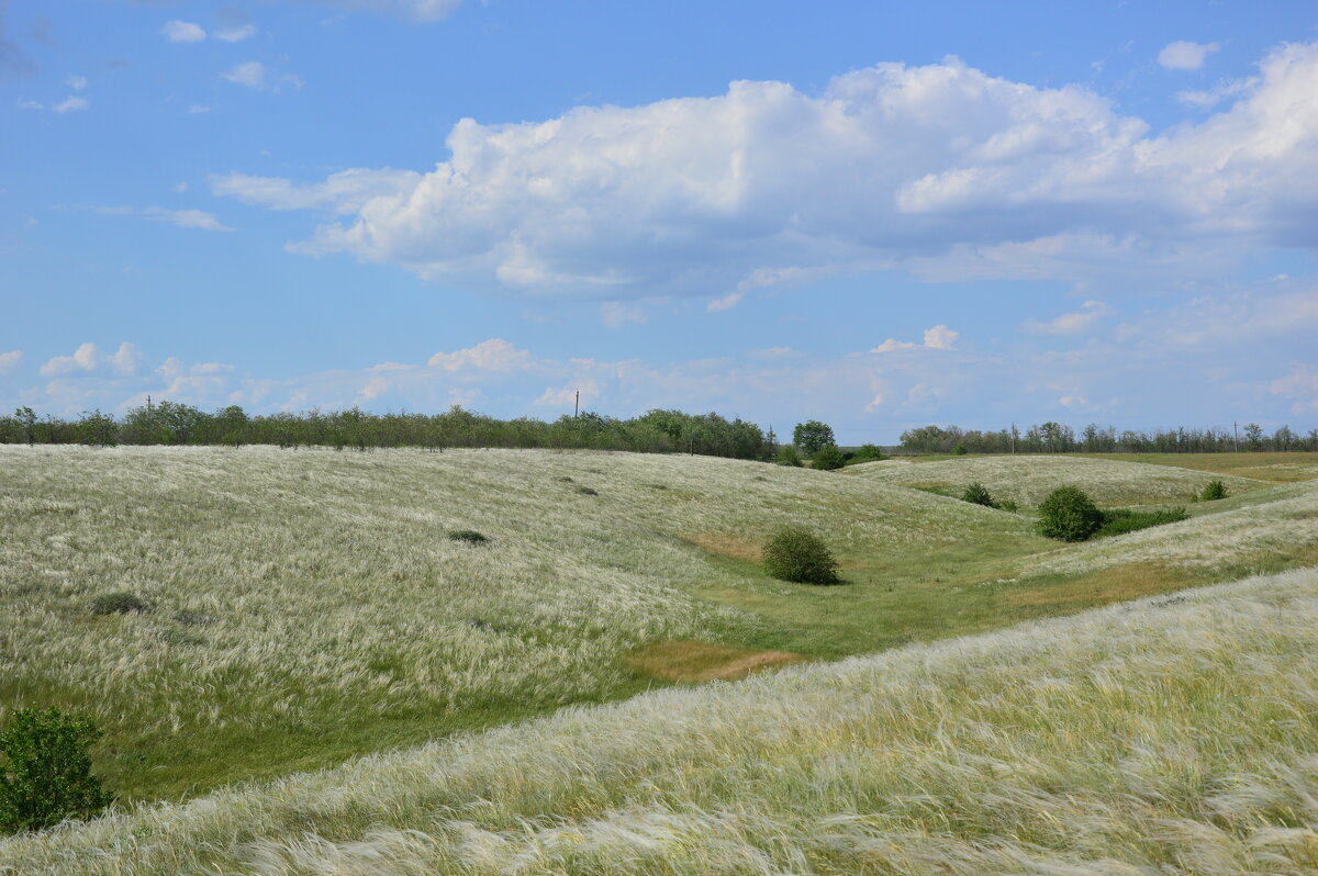 Местные виды. - Виктор Местные виды. - Виктор