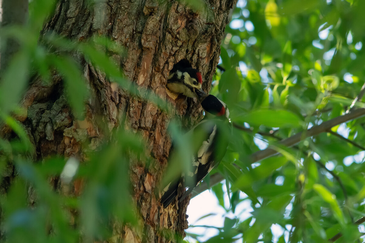 за маму... - Виталий Емельянов