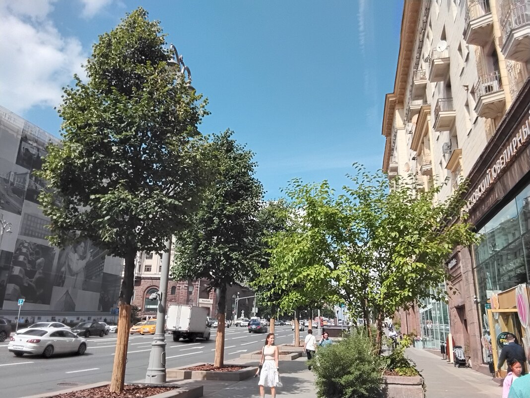 Окунись на Тверской в шум зелёных аллей - Дмитрий Никитин Окунись на Тверской в шум зелёных аллей - Дмитрий Никитин