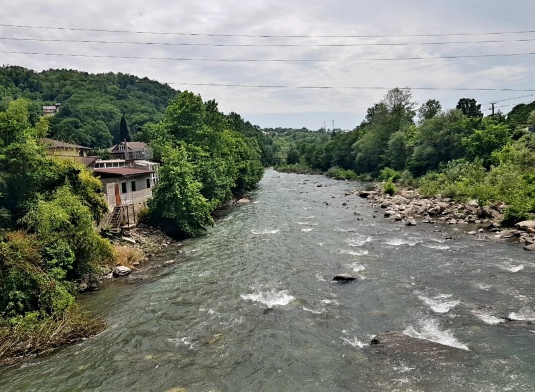 ПЛАСТУНКА-СОЧИ - Tata Wolf