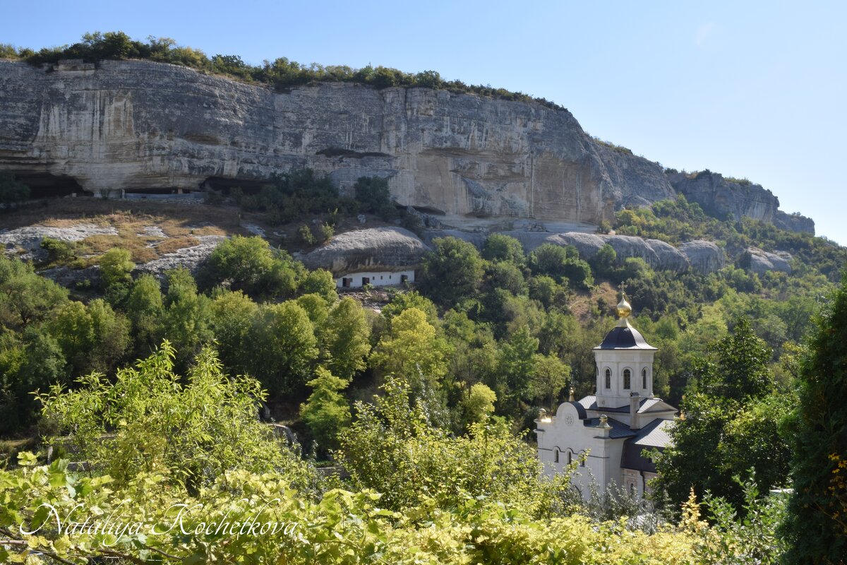 Природа Крыма - Amazing Cosmea Природа Крыма - Amazing Cosmea