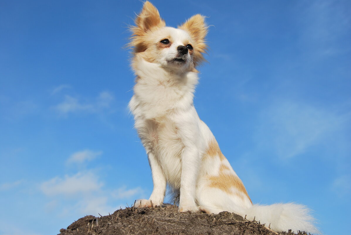 Буська - Рудаков Сергей 