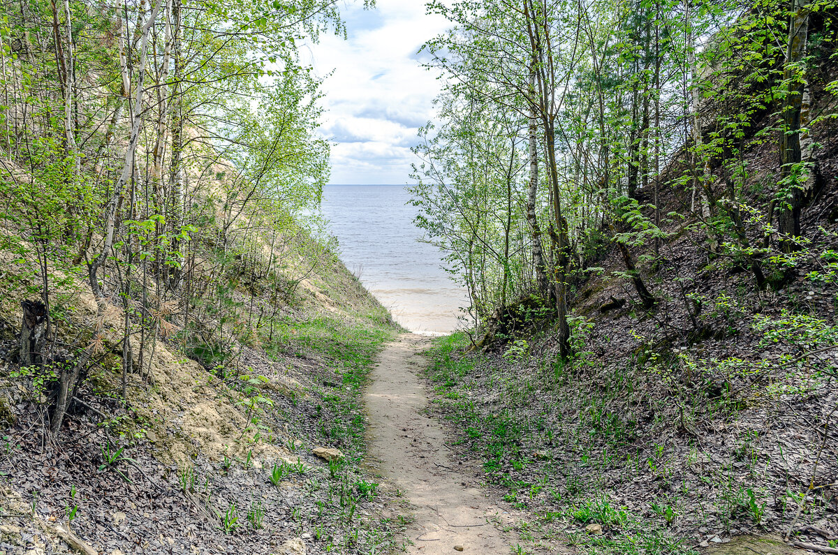 Выход - Андрей Щетинин
